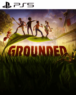 GROUNDED PS5